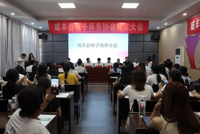 电商协会成立；电商协会介绍