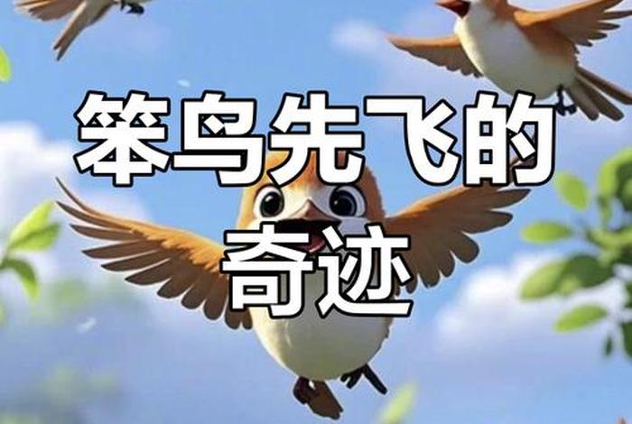 小笨鸟跨境电商平台,小笨鸟跨境电商平台优势 小笨鸟跨境电商平台,小笨鸟跨境电商平台优势