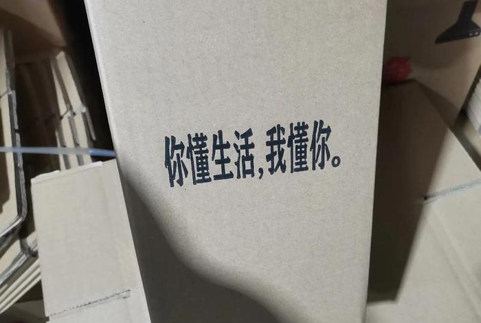 电商纸箱采购,一般计入哪个科目？ - 购入纸箱计入什么科目