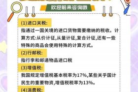 进口电商是什么意思（进口电商是什么意思啊）