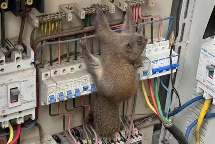 商超电工 - 商超电工能做么