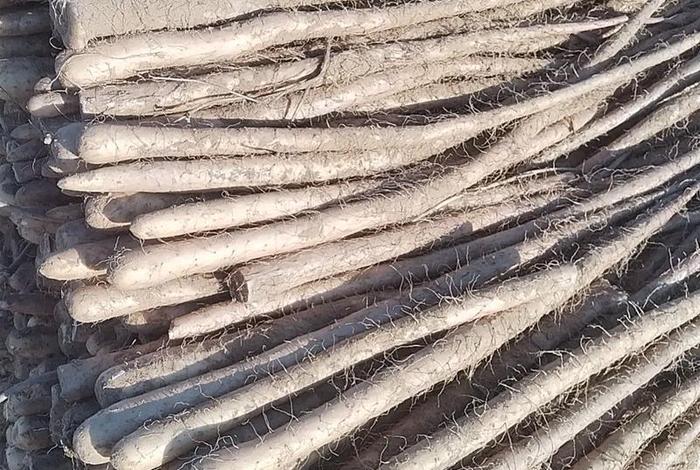 电商山药 - 如何通过电商来卖山药