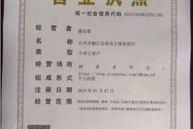 电商营业执照全类目模板，电商营业执照范围模板
