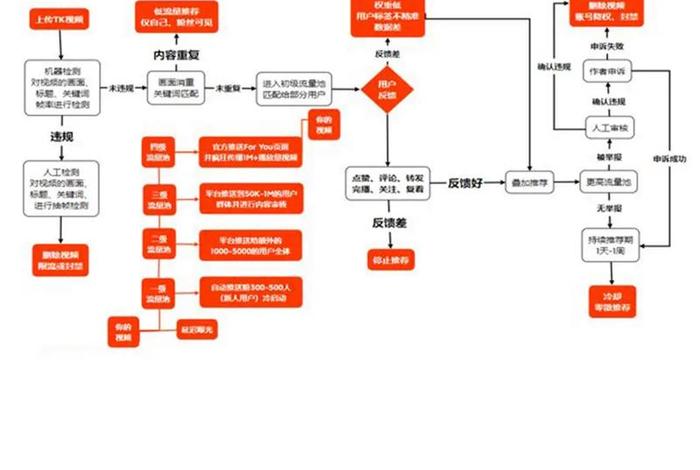 跨境电商的注册流程（跨境电商的注册流程图）
