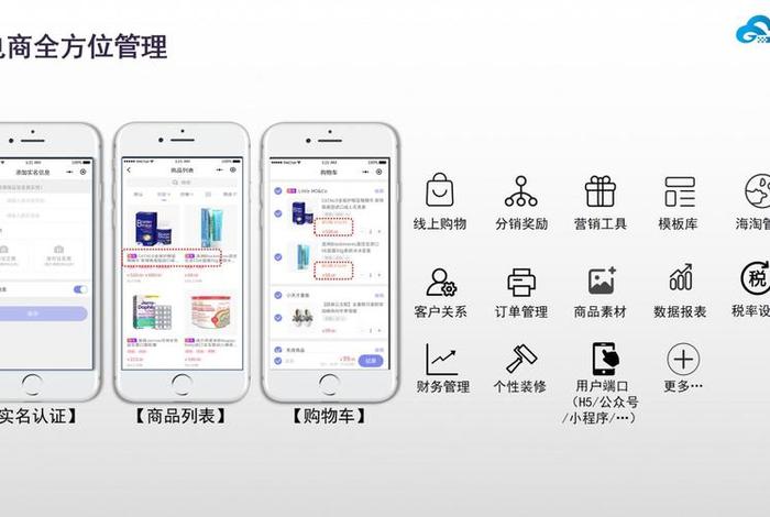 电商开发平台，电商开发平台程序