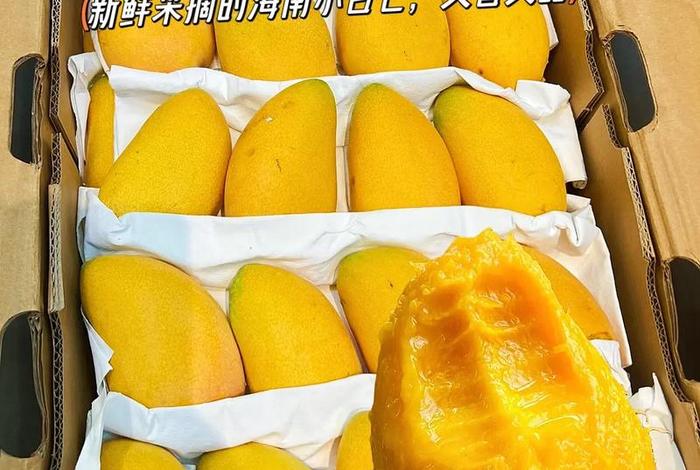 小芒电商是啥平台啊、小芒电商是啥平台啊是正品吗 小芒电商是啥平台啊、小芒电商是啥平台啊是正品吗