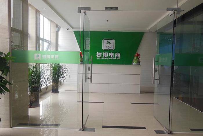 广州电商公司有哪些 广州电商公司有哪些小型 广州电商公司有哪些 广州电商公司有哪些小型