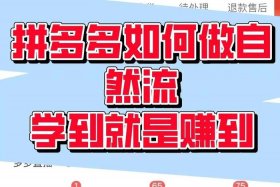 拼多多做电商怎么做呀、拼多多做电商怎么做呀赚钱