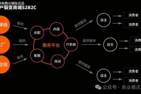 电商b2c业务是什么意思（电商b2c业务是什么意思啊）