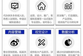 专业电商代运营平台 专业电商代运营平台有哪些