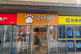 宠物电商名字 - 宠物电商名字大全