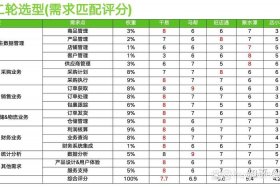 中国十大跨境电商erp排名 中国十大跨境电商erp排名榜