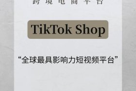 tk跨境电商平台登录、tiki跨境电商平台