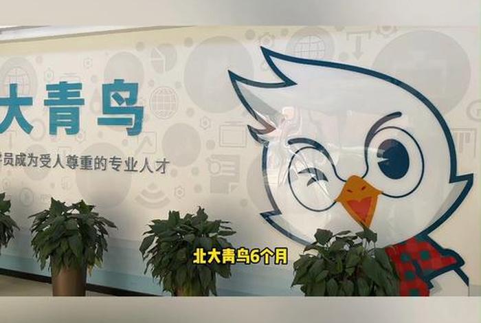 北大青鸟电商;北大青鸟电商培训可靠吗 北大青鸟电商;北大青鸟电商培训可靠吗