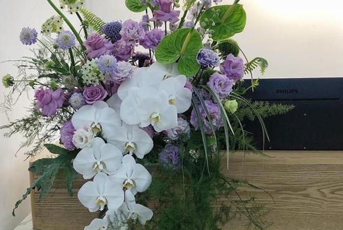 商店办公桌摆什么花好 - 商店办公桌摆什么花好风水