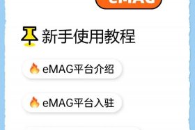 emag电商平台官网怎么设置中文；emag电商入驻