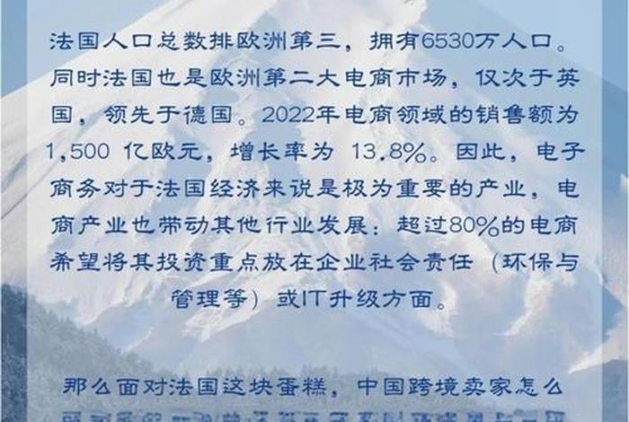 法国电商平台有哪些（法国电商平台有哪些公司）