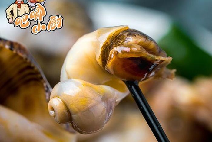 海螺商城（海螺商城APP官方下载）