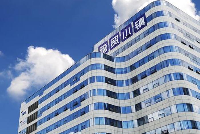 电商小镇排名 电商小镇排名前十