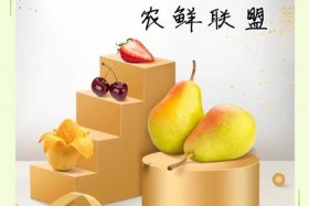 生鲜电商计划书，生鲜电商计划书ppt