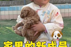 抖音电商入口贾老师优选，抖音金牌家教贾老师