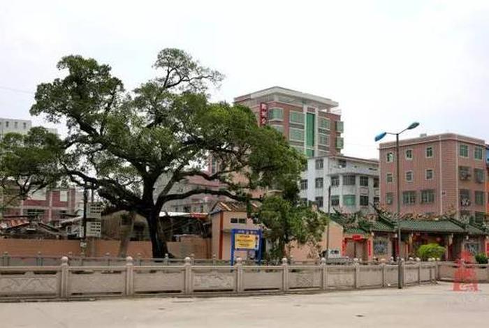 陈店上宅村和湖西的关系;潮南区陈店镇上宅村 陈店上宅村和湖西的关系;潮南区陈店镇上宅村