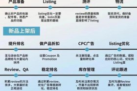 亚马孙跨境电商运营模式，亚马逊跨境电商运营方式