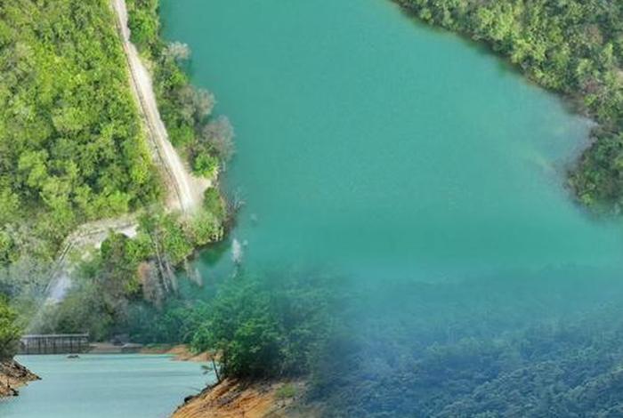 武义冷水坑电商;武义冷水坑电商招聘 武义冷水坑电商;武义冷水坑电商招聘