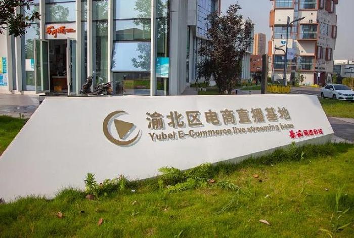 重庆电商平台有哪些 重庆电商平台有哪些公司 重庆电商平台有哪些 重庆电商平台有哪些公司