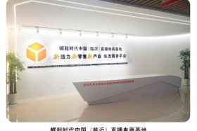 山东直播电商集团 山东直播电商集团官网