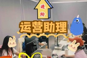 电商全域运营公司具体做什么，电商全域运营公司具体做什么工作