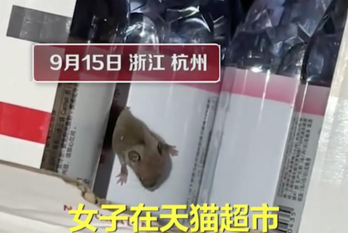 电商平台回应矿泉水箱内送有老鼠、电商平台回应矿泉水箱内有老鼠一 电商平台回应矿泉水箱内送有老鼠、电商平台回应矿泉水箱内有老鼠一