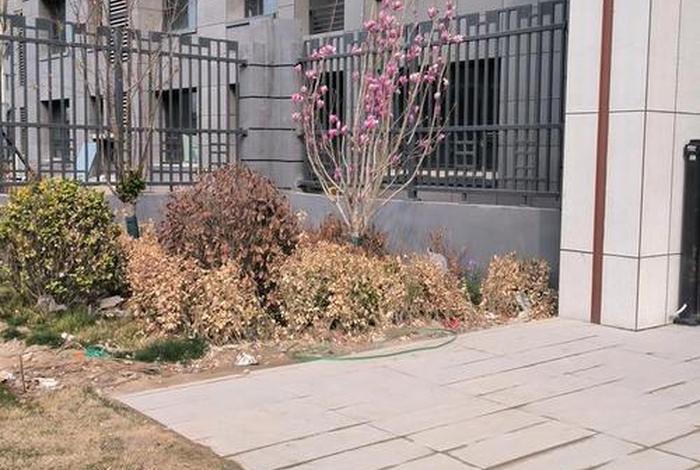 石家庄店上锦绣名邸一区 石家庄锦绣路属于哪个区