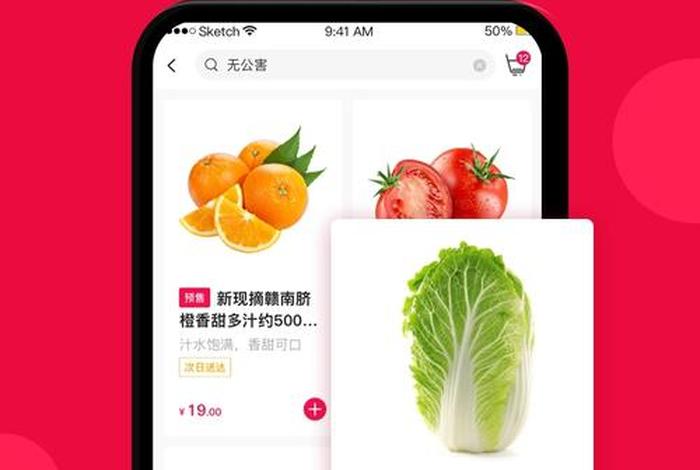 上海网购买菜哪个软件好（上海网购买菜哪个软件好用）