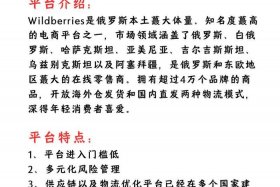 俄罗斯电商wildberries官网 - 俄罗斯电商wildberries官网下载