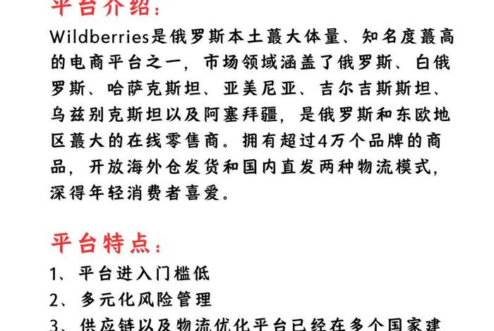 俄罗斯电商wildberries官网 - 俄罗斯电商wildberries官网下载
