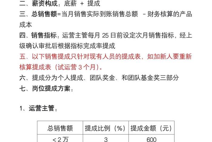 电商运营团队提成方案（电商运营团队提成方案模板）