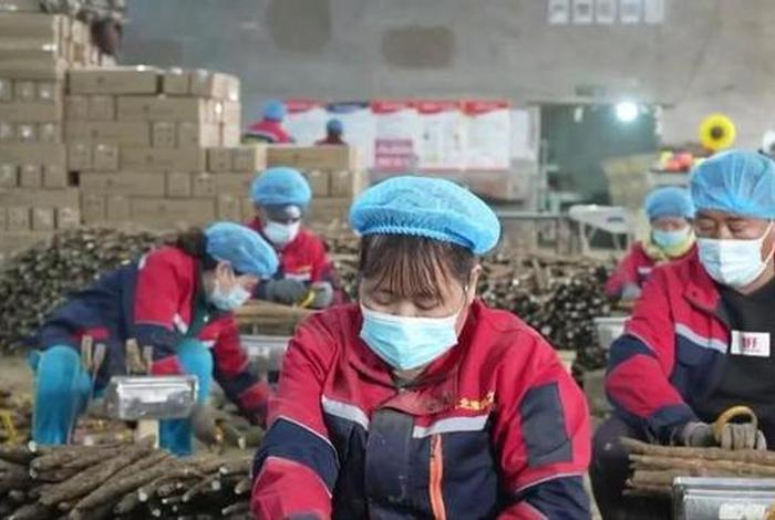 电商价格战,刺痛河北产业带,河北人做电商打价格战 电商价格战,刺痛河北产业带,河北人做电商打价格战