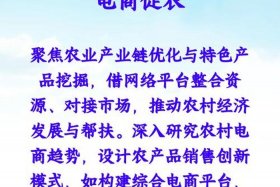 农村电商发展模式的三种主要类型 农村电商发展模式的三种主要类型是