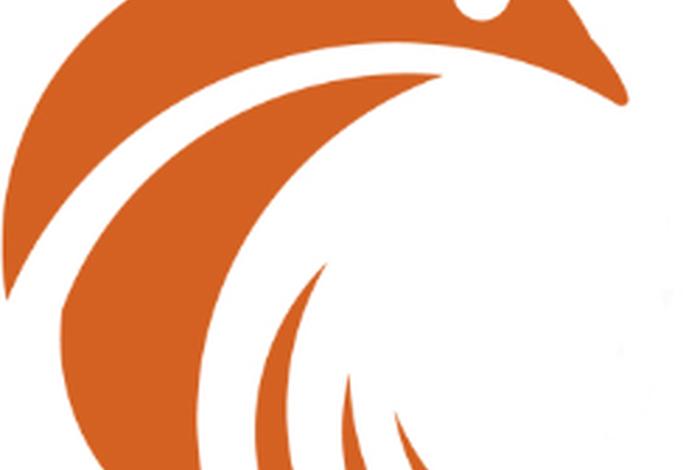 小笨鸟跨境电商如何讲解;小笨鸟跨境电商模式 小笨鸟跨境电商如何讲解;小笨鸟跨境电商模式