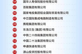 上海的跨境电商企业排名（上海的跨境电商企业排名第一）