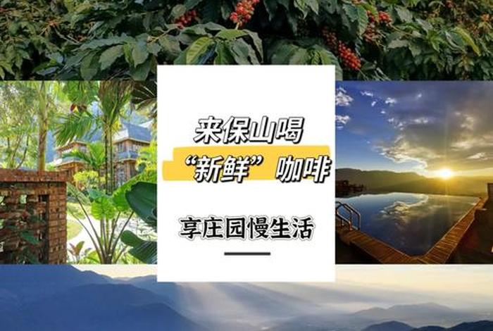 电商庄园科技保山咖啡齐活了 - 云南保山咖啡庄园