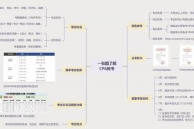 电商cpa通俗理解、cpas电商