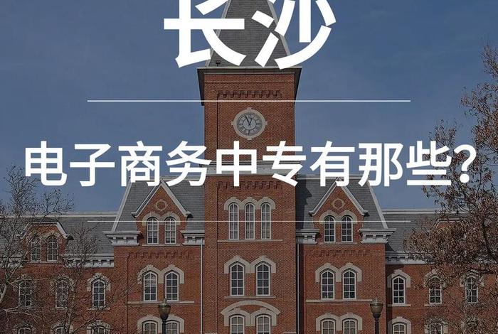 长沙电商公司排名前十(长沙电商公司排名前十名) 长沙电商公司排名前十(长沙电商公司排名前十名)