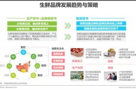 生鲜农产品电商发展现状，生鲜农产品电商发展现状调查