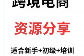 跨境电商综试区平台（跨境电商综试区平台视频课程）