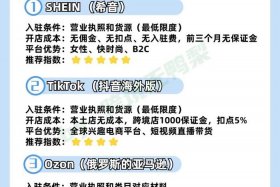 电商带货新手入门教程书（电商带货新手入门教程书电子版）