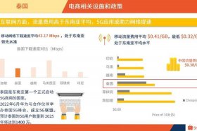 泰国电商平台调研、泰国本土电商平台