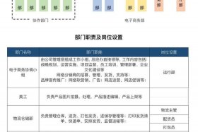 电商运营团队组织架构 - 电商运营团队组织架构及职责