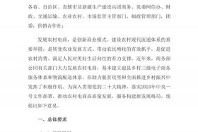 农村电商扶持政策；农村电商扶持政策有哪些